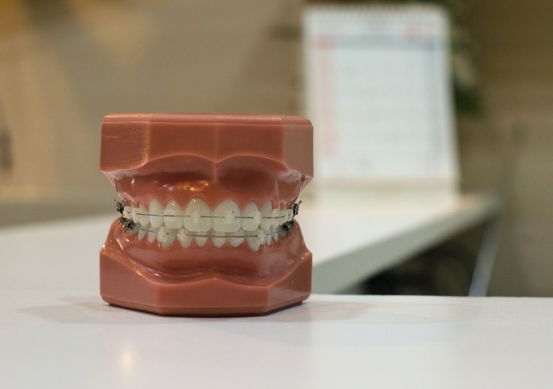 human tooth 